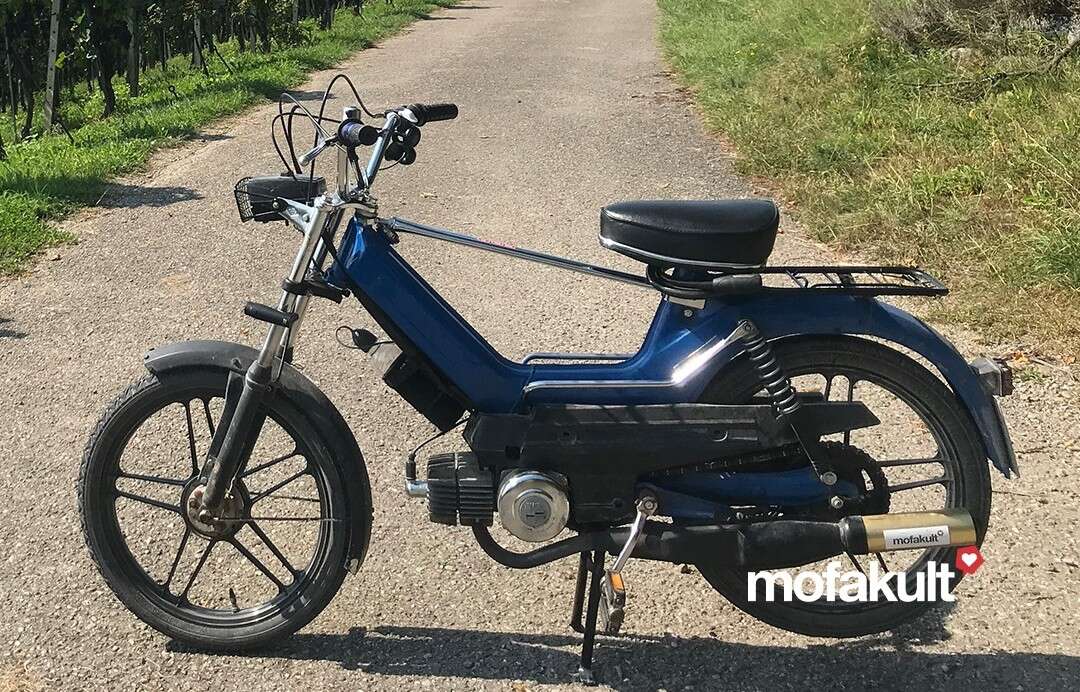 Maxi S von Mattia Maxi S von Mattia