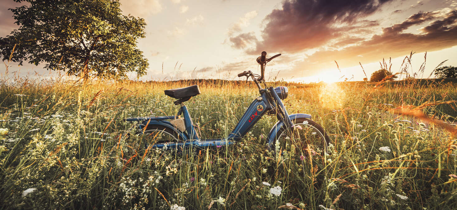 header-image-pony-2259× 1040 header-image-pony-2259× 1040