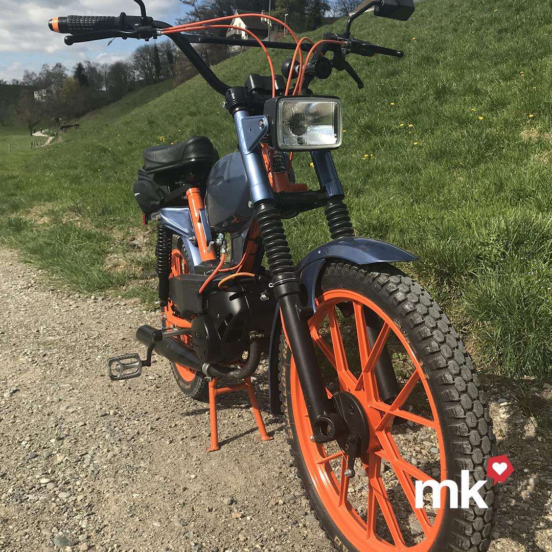 Sachs 503 von Gobbo Sachs 503 von Gobbo