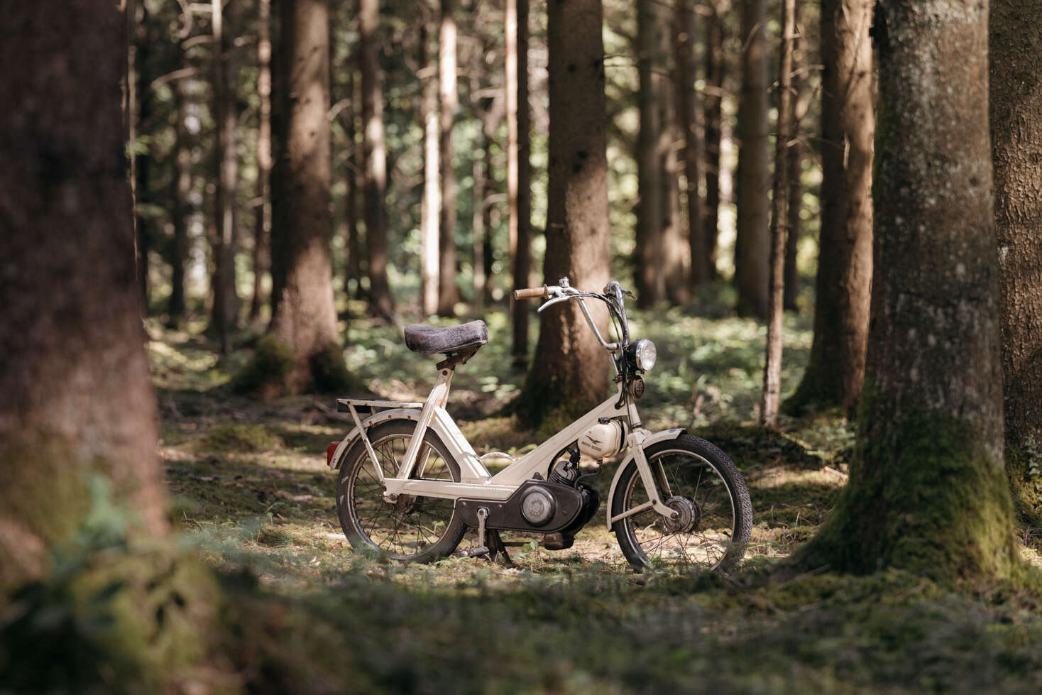 22_09-eigenmarken-mofakalender-story-1 22_09-eigenmarken-mofakalender-story-1