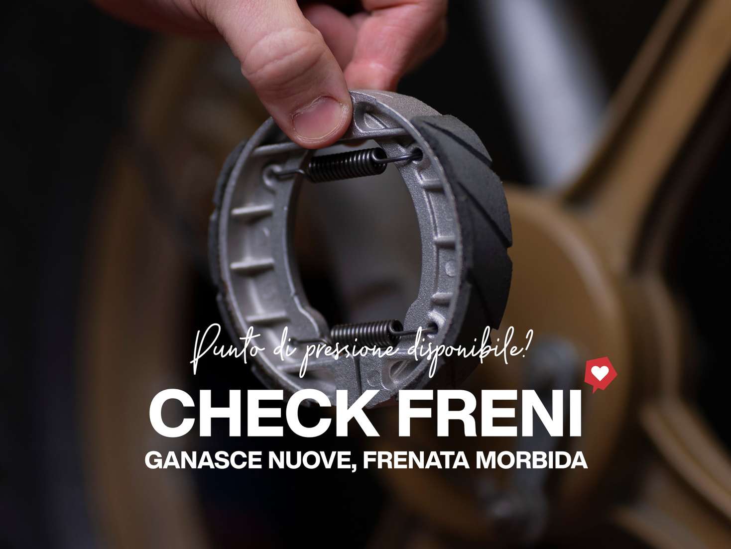 it-shop-landing-02-L it-shop-landing-02-L