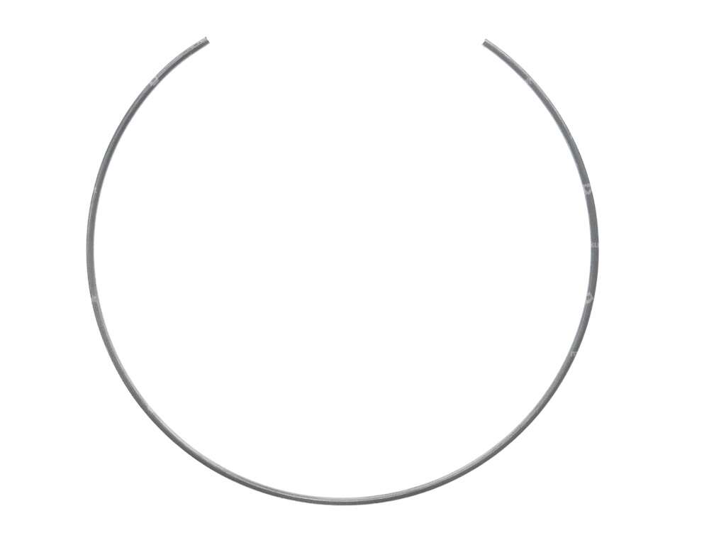 molla di tensione swiing® revival per piastra di pressione frizione | Puch Carousel Image 1