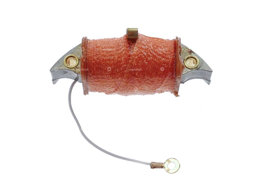 Bobina di accensione Bosch / Noris (distanza tra i fori 53 mm) Carousel Image 1