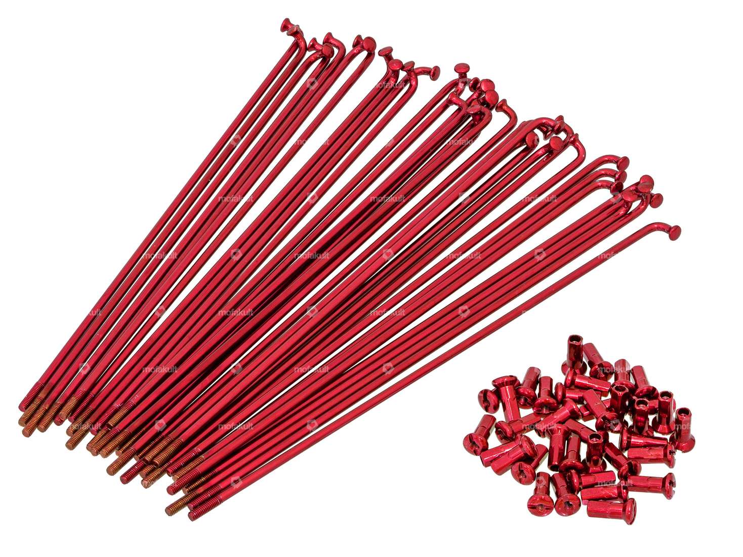 Set di raggi GPO 19" incl. nipplo (2,9 x 212 mm) rosso Carousel Image 1
