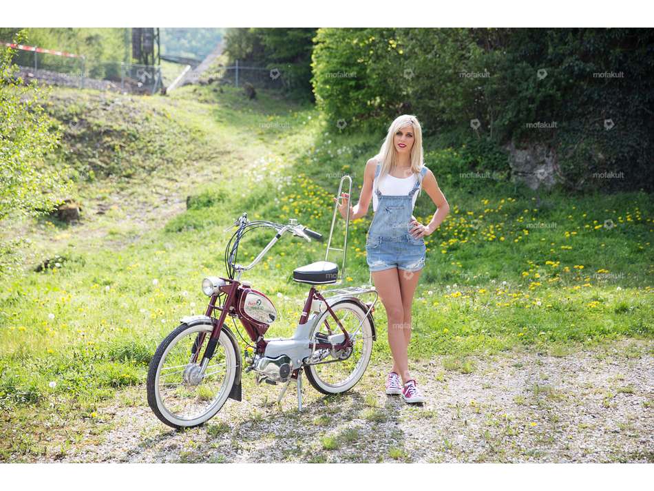 66HEROES Backrest / Sissybar Carousel Image 4