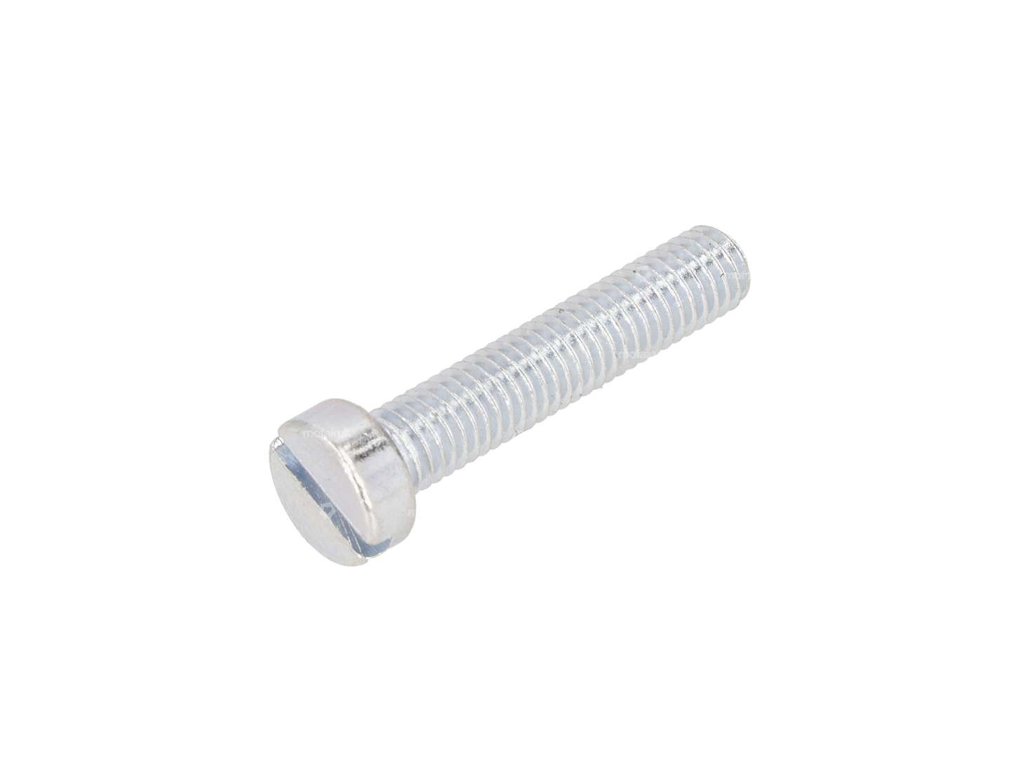 Vite M5x25 con cava per testa di cilindro zincata Carousel Image 1