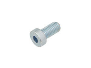 Screw M8x16 cylinder head low hexagon socket, galvanized Screw M8x16 cylinder head low hexagon socket, galvanized