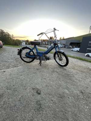 Immagine del profilo