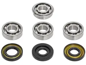 swiing® revival Motorenrevision-Set (altes Modell) | Puch E50 swiing® revival Motorenrevision-Set (altes Modell) | Puch E50