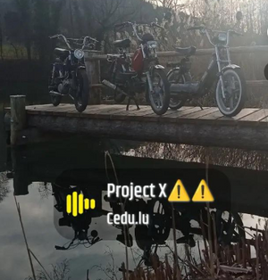 Immagine del profilo