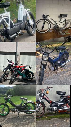 Immagine del profilo