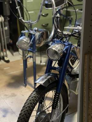 Immagine del profilo