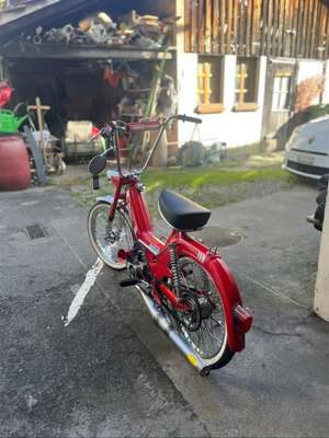 Immagine del profilo