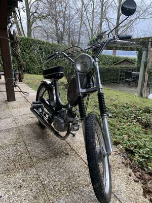 Immagine del profilo