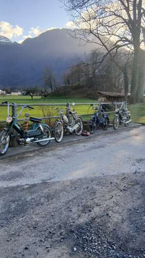Immagine del profilo