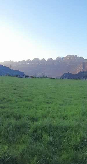 Immagine del profilo