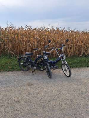 Immagine del profilo