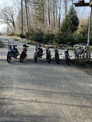 Immagine del profilo