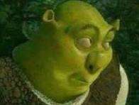 Immagine del profilo