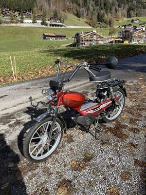 Immagine del profilo