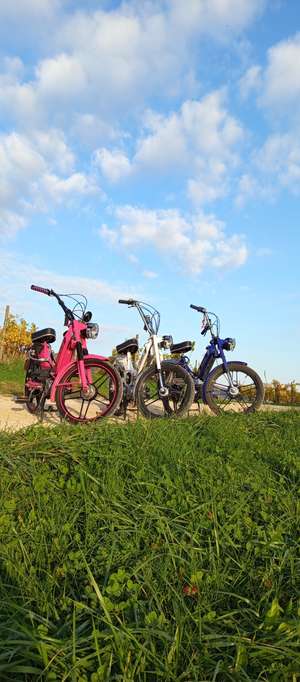 Immagine del profilo