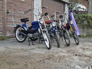 Immagine del profilo