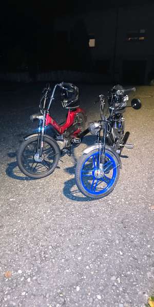 Immagine del profilo