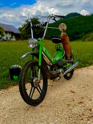 Immagine del profilo