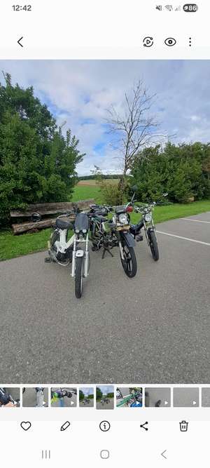 Immagine del profilo