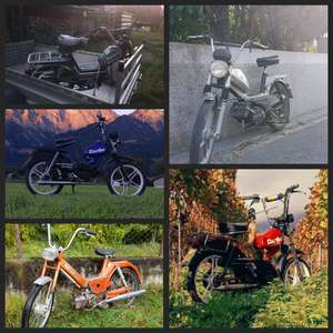 Immagine del profilo