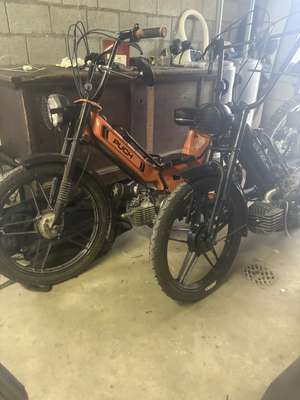 Immagine del profilo