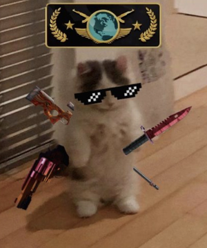 Immagine del profilo