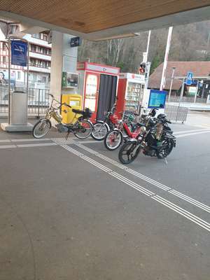 Immagine del profilo