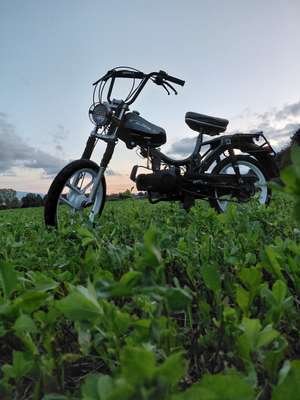 Immagine del profilo