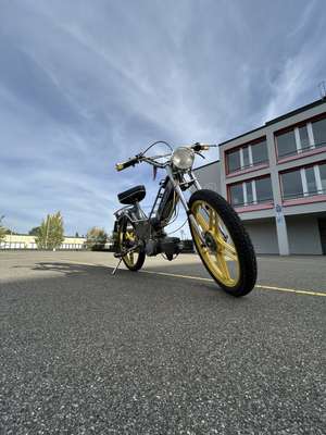 Immagine del profilo