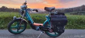 Immagine del profilo