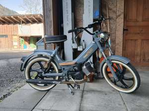 Immagine del profilo