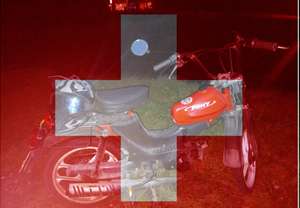 Immagine del profilo