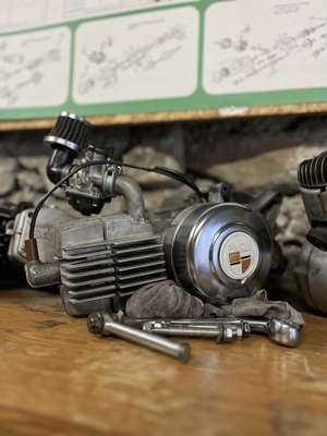 Profilbild