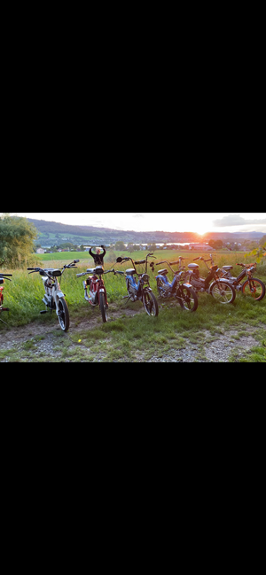 Immagine del profilo