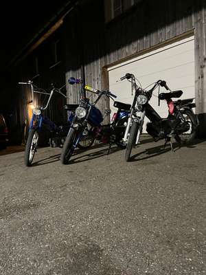 Immagine del profilo