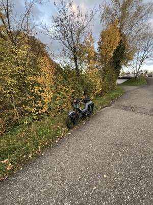 Immagine del profilo