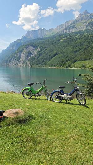 Immagine del profilo