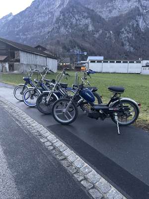 Immagine del profilo