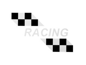 Adesivo serbatoio «RACING» bianco | Puch X30 NG-2AH Adesivo serbatoio «RACING» bianco | Puch X30 NG-2AH