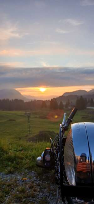 Immagine del profilo