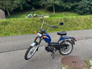 Immagine del profilo