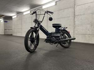 Immagine del profilo