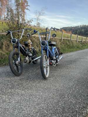 Immagine del profilo