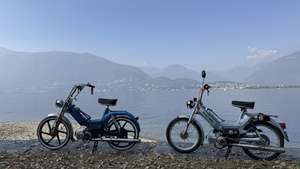 Immagine del profilo